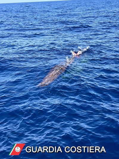 Milazzo, sequestrati 18 cannizzi illegali: recuperata anche plastica in mare